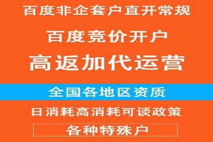 成功案例：SEM竞价托管的策略与效果